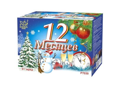 12 Месяцев Фейерверк купить в Брянске | bryansk.salutsklad.ru