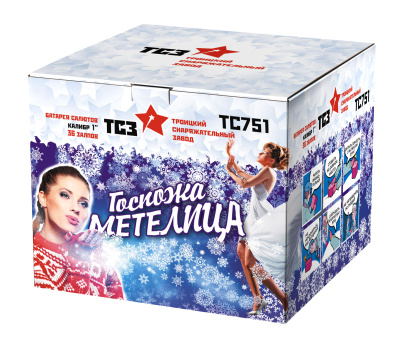 Госпожа Метелица Фейерверк купить в Брянске | bryansk.salutsklad.ru