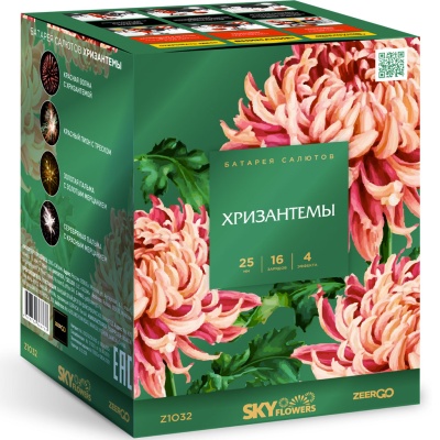 Хризантемы Фейерверк купить в Брянске | bryansk.salutsklad.ru